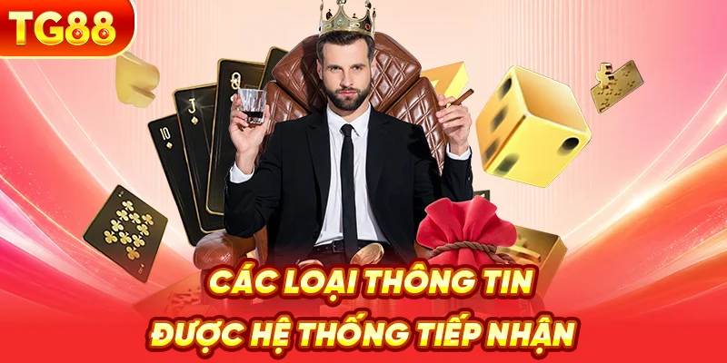 Các Loại Thông Tin Được Hệ Thống Tiếp Nhận