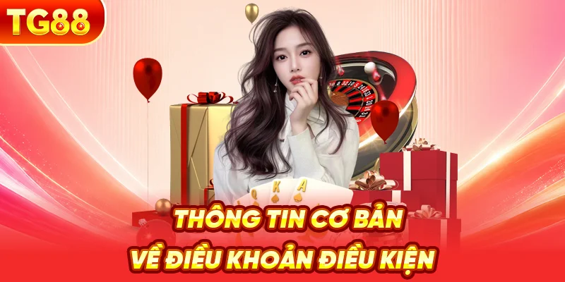 Thông Tin Cơ Bản Về Điều Khoản Điều Kiện