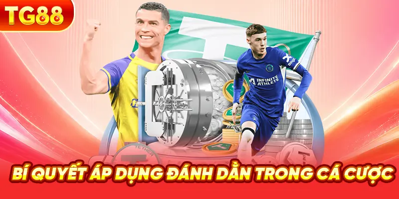 Bí Quyết Áp Dụng Đánh Dằn Trong Cá Cược