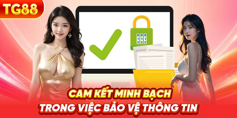 Cam Kết Minh Bạch Trong Việc Bảo Vệ Thông Tin