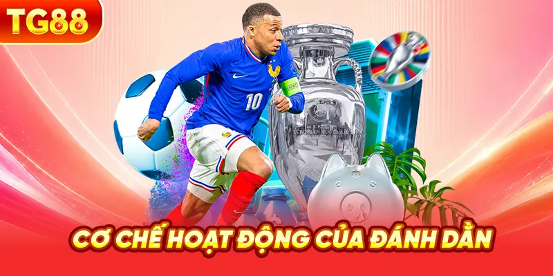 Cơ Chế Hoạt Động Của Đánh Dằn