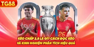 Kèo Chấp 2.5 Là Gì? Cách Đọc Kèo Và Kinh Nghiệm Phân Tích Hiệu Quả