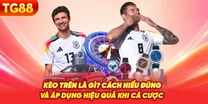 Kèo Trên Là Gì? Cách Hiểu Đúng Và Áp Dụng Hiệu Quả Khi Cá Cược