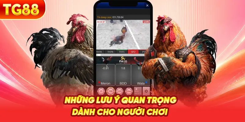Những Lưu Ý Quan Trọng Dành Cho Người Chơi